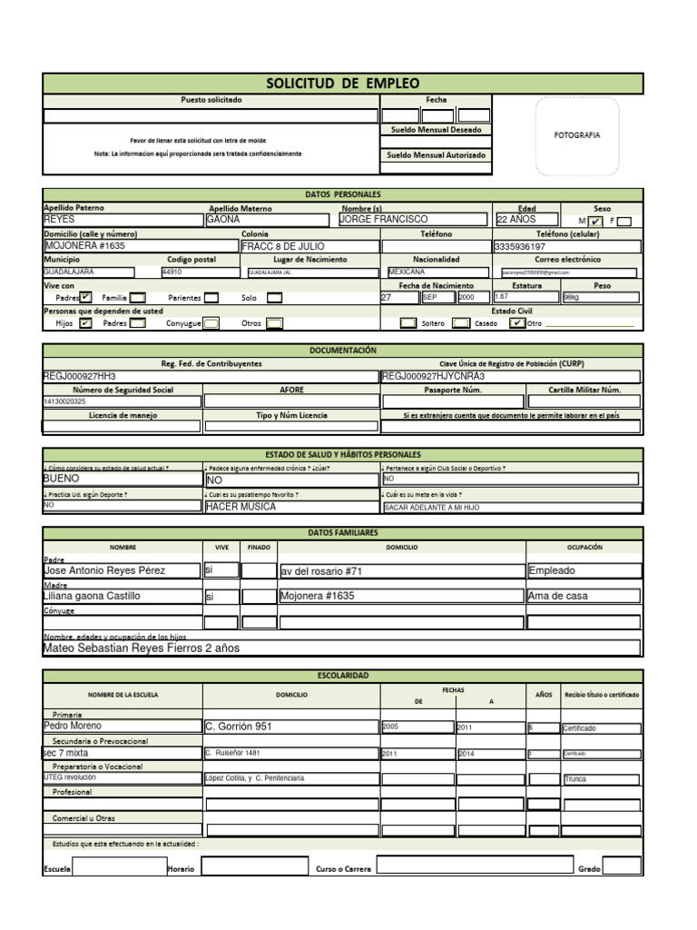 Solicitud de Empleo para Llenar en PDF | PDF