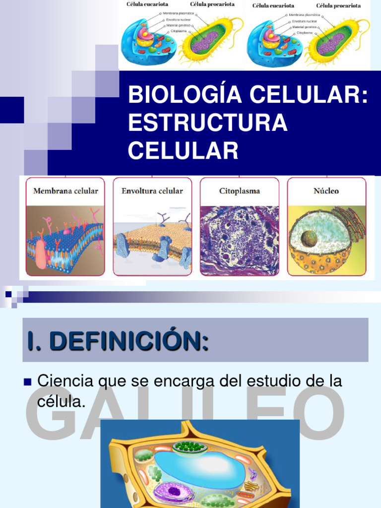 Comparativa de Células Procariotas y Eucariotas | PDF | Citoplasma ...