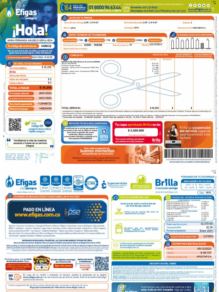 Factura de Gas Natural Enero 2024 | PDF