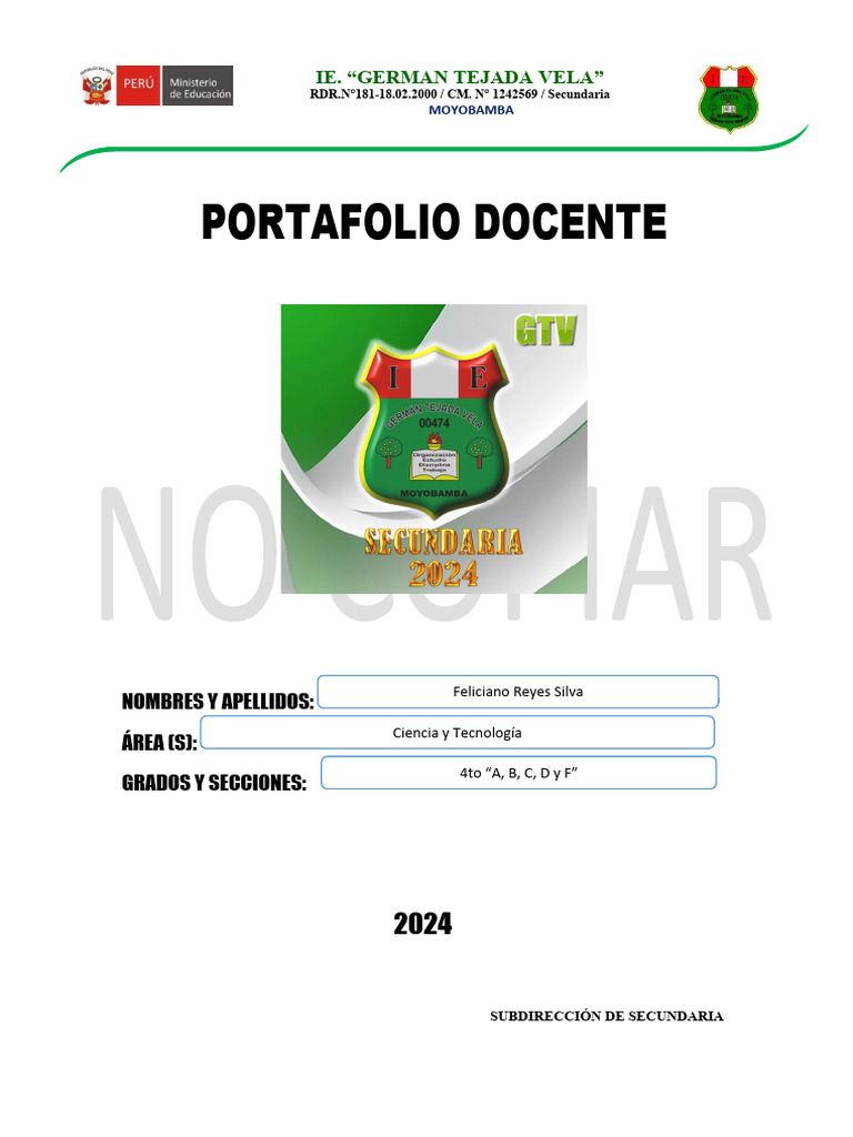 Estructura Del Portafolio Docente 2024 - 08-03-2024 - Feliciano | PDF ...