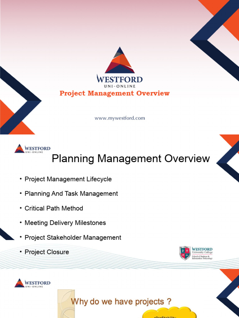 Project Management Essentials Guide | PDF | Project Management | Business