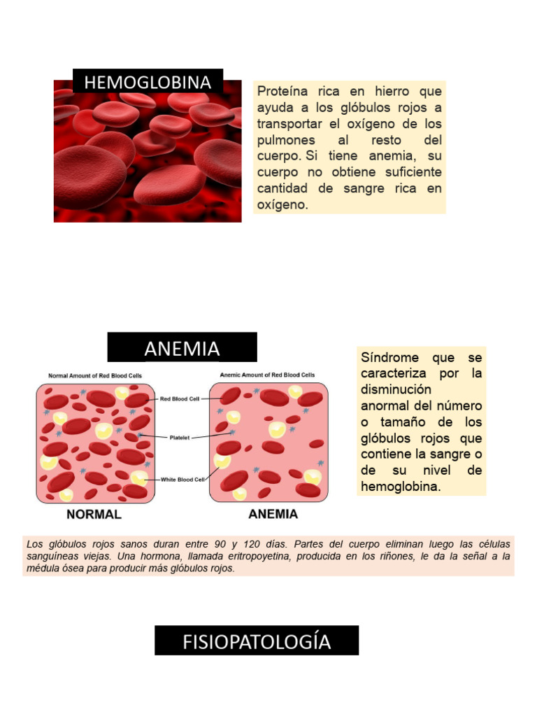 Tipos y Causas de Anemia | PDF | Sangre | Anemia