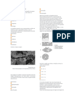 Questões Sobre Cartografiae Escala