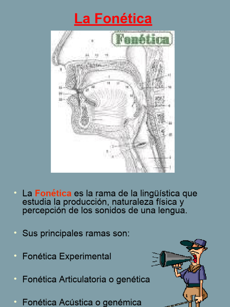 Introducción a la Fonética y sus Ramas | PDF | Fonética | Sonido