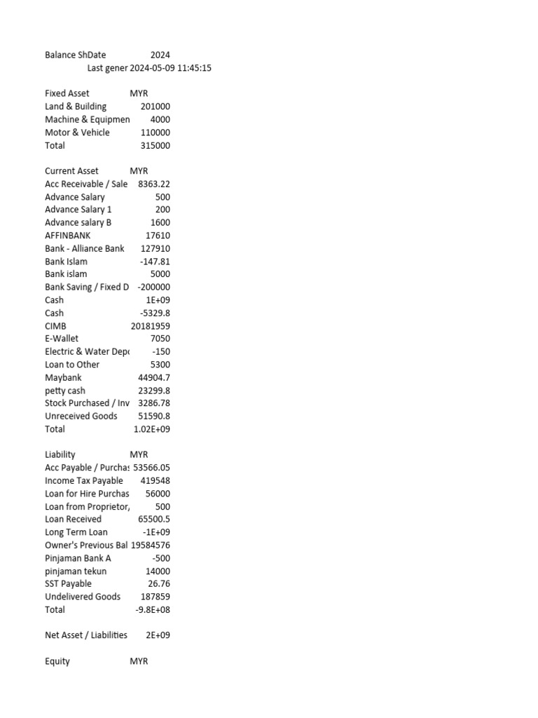 2024 Financial Balance Sheet Overview | PDF