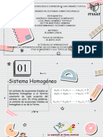 Exposición de Sistema de Ecuaciones Lineales Homogéneo y No Homogéneo