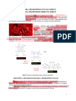 Lp 7_Bilirubina_LP_202w