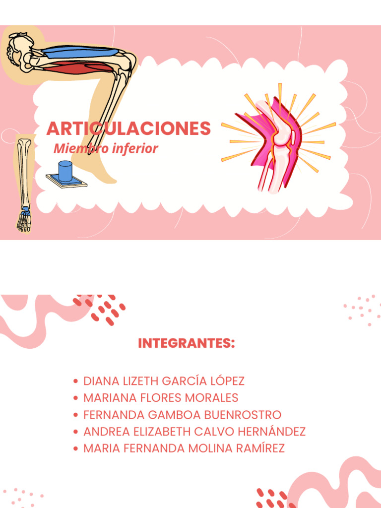 Anatomía Articulaciones De Miembro Inferior Pdf Articulación