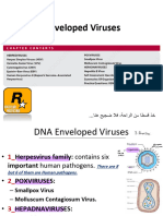2 - DNA Viruses
