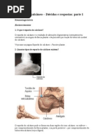 Tudo sobre esporão do calcâneo