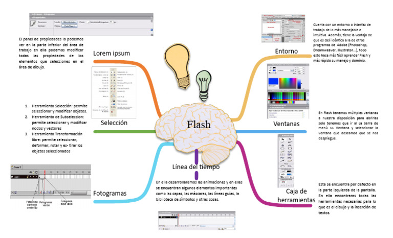 Flash | PDF | Informática | Software