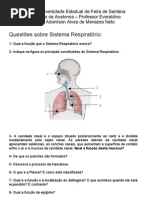 Questões - Sistema Respiratório