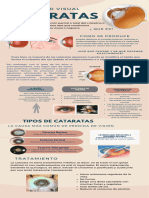 Infografia Cataratas