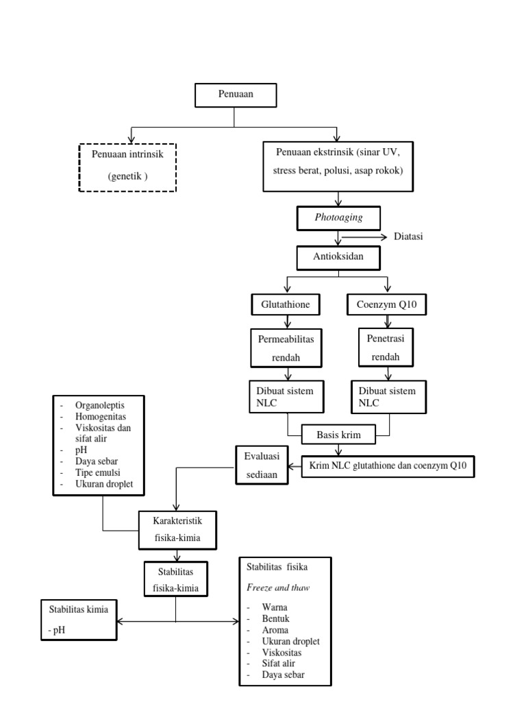 Kerangka Konsep | PDF