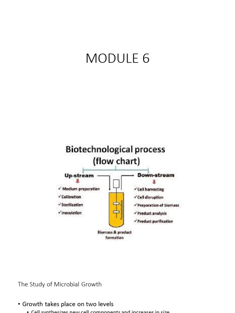 module-6-bioprocess-development-pdf-logarithm-biology