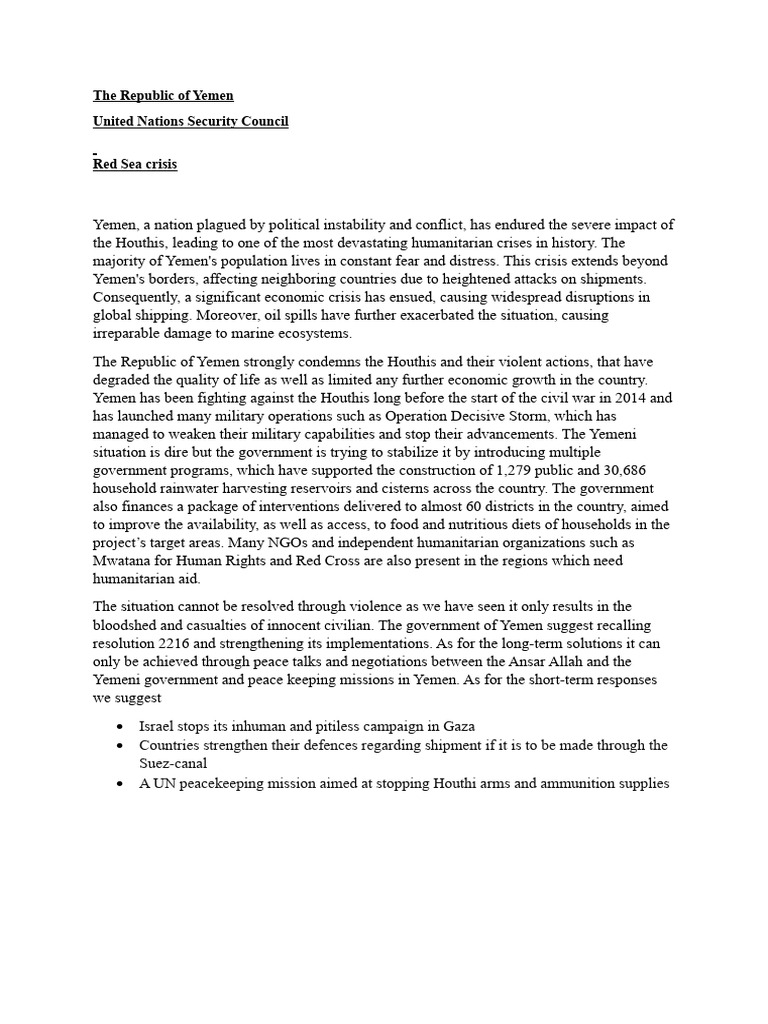 Position Paper Yemen | PDF