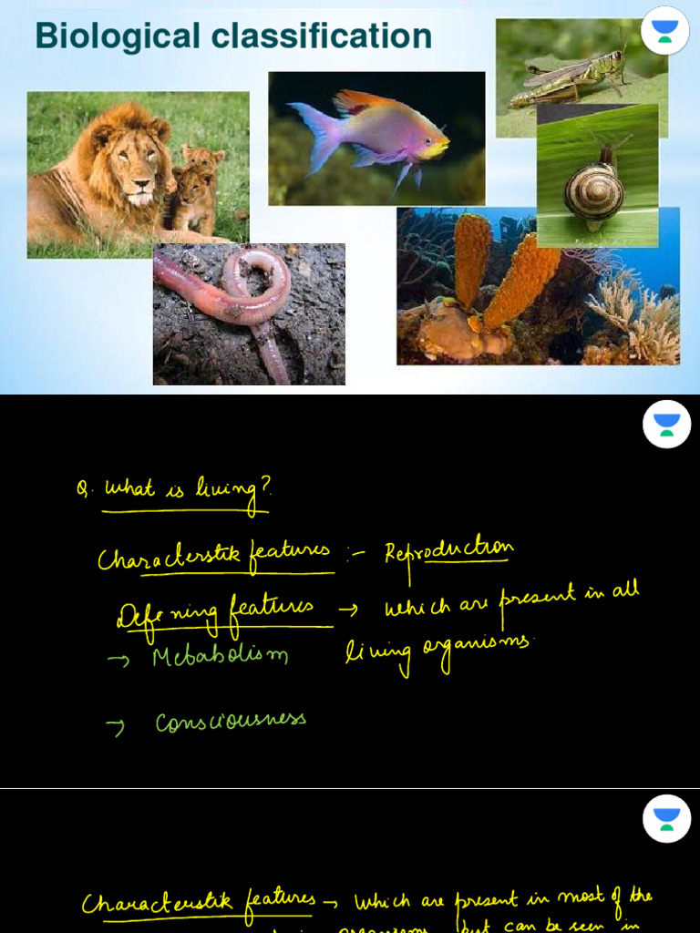 Biological Classification-NSEJS Biology | PDF