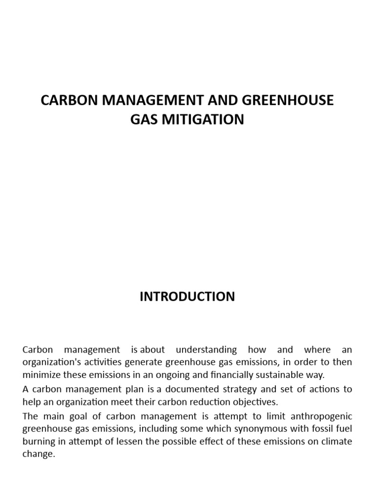 Lecture - Carbon Footprint and Greenhouse Gases Mitigation | PDF ...