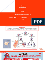 B-4to-Tejido sanguíneo II
