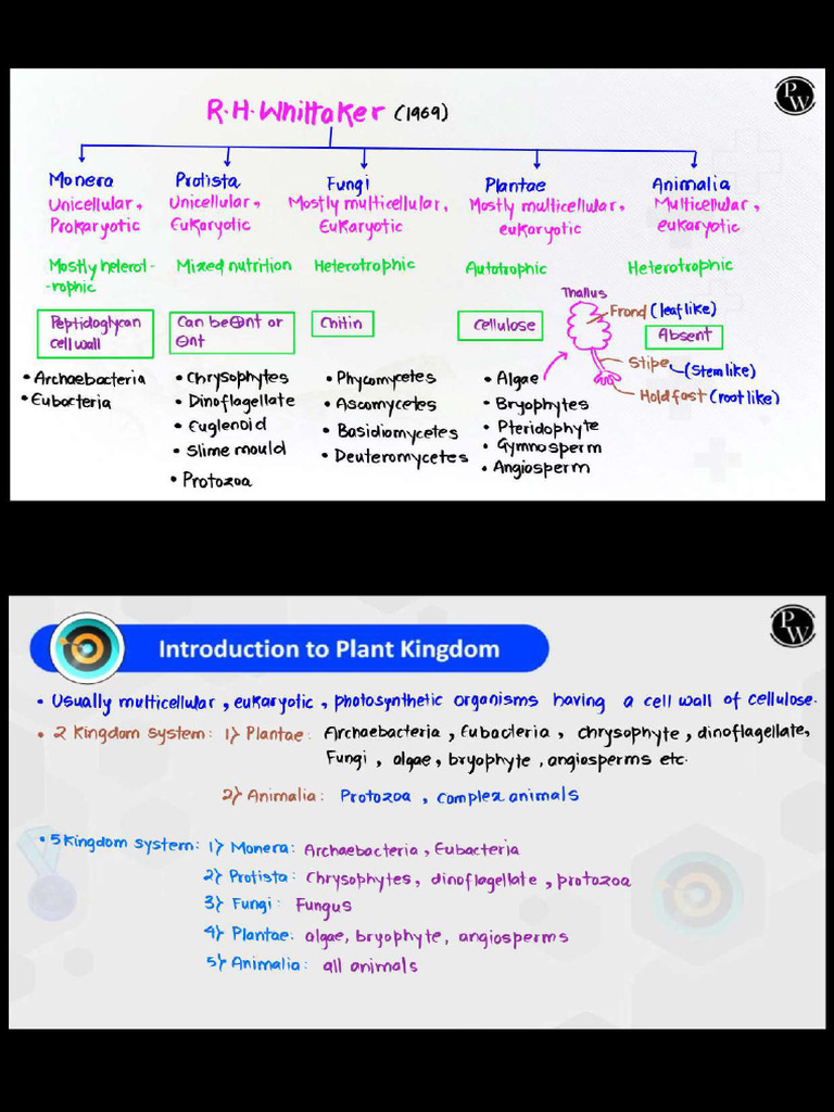 Bio Notes | PDF