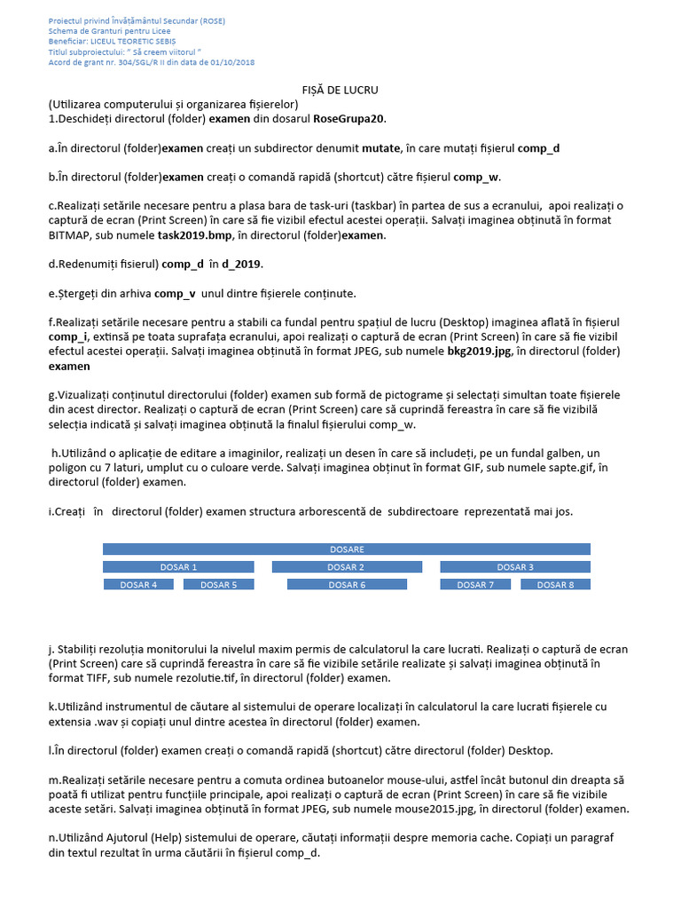 Fisa S2 | PDF