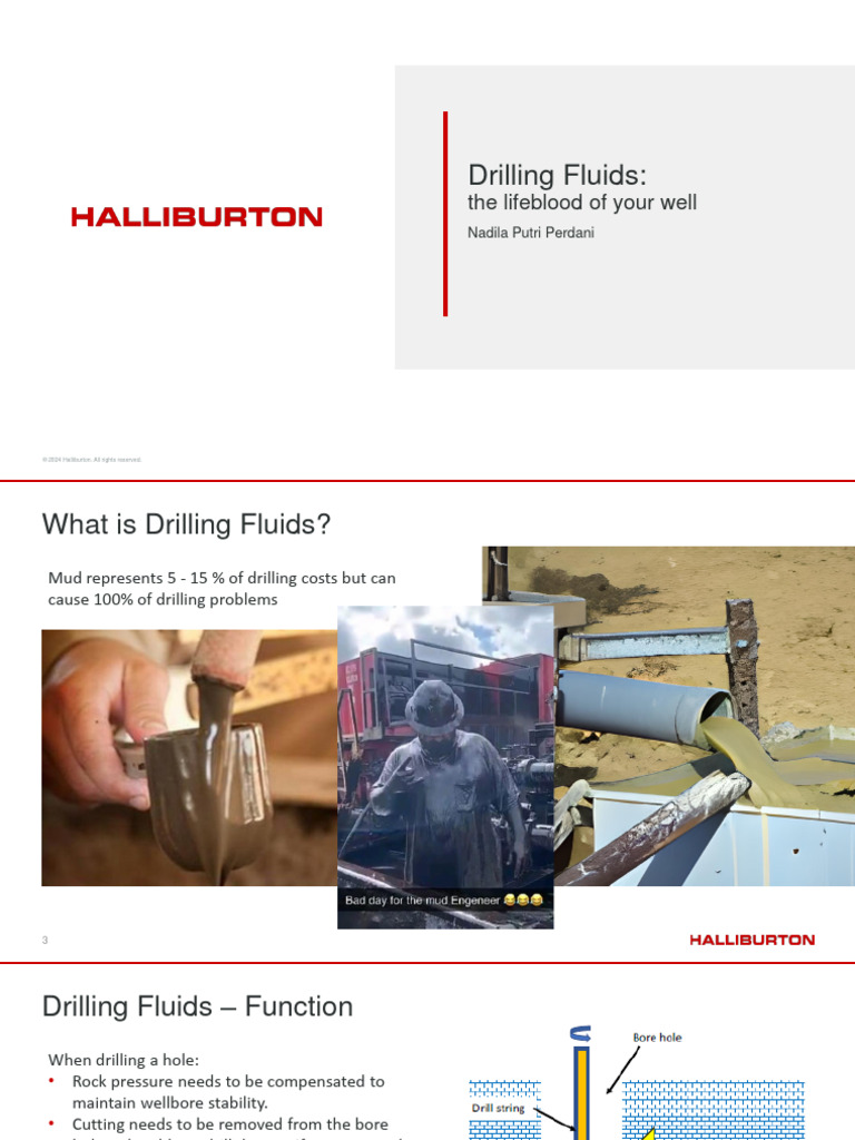 Halliburton's Drilling Fluids Overview | PDF | Shear Stress | Rheology
