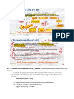 Direito Costitucional (6 a 17)