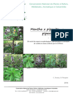 Publication Menthe Poivrée 2016