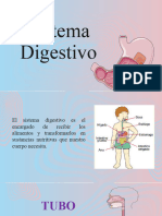 Sistema Digestivo