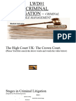 Criminal File Management Trial Processt