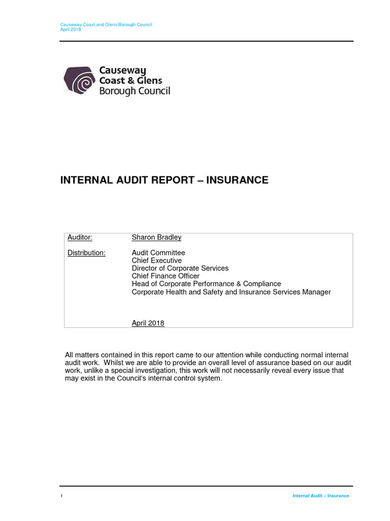 Internal Audit Report: Insurance Review | PDF | Internal Audit | Insurance