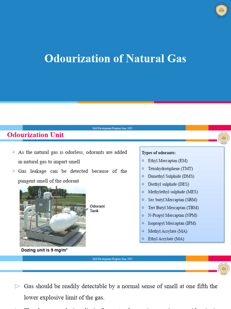 Natural Gas Odorization Overview | PDF | Pump | Odor