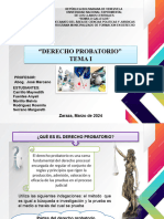 Primer Lapso de Derecho Probatorio Exposicion