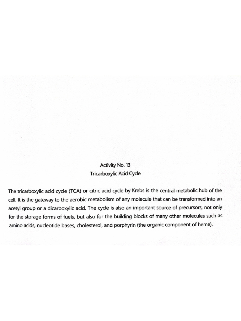 Acitivity 13 | PDF