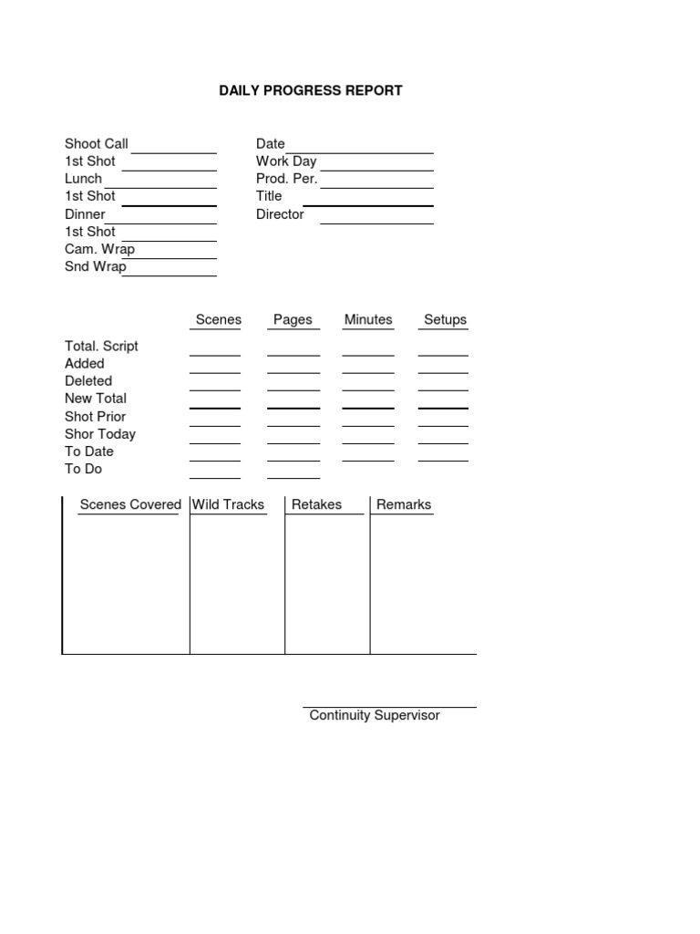 Daily Film Production Progress Report | PDF