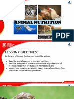 LESSON-3_ANIMAL-NUTRITION.pptx-1