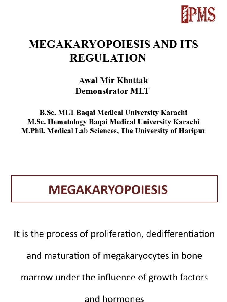 Stages and Regulation of Megakaryopoiesis | PDF | Cell Biology | Biology