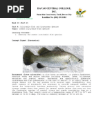 Matambaka Fish: Nutrition & Benefits | PDF | Home & Garden