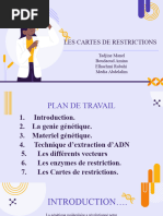 Fiche technique du logiciel Géniegen2 | PDF | Enzyme | Fichier informatique
