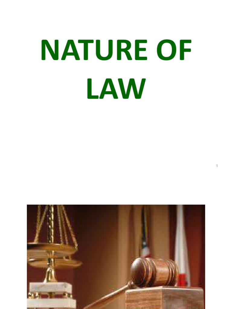 Nature Of Law Pdf Question Of Law Precedent