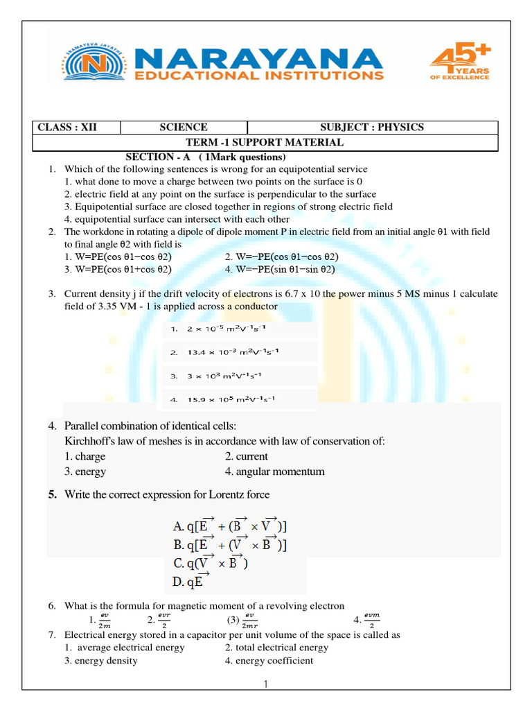 Physics Term 1 Support Material | PDF | Electric Field | Magnetic Field