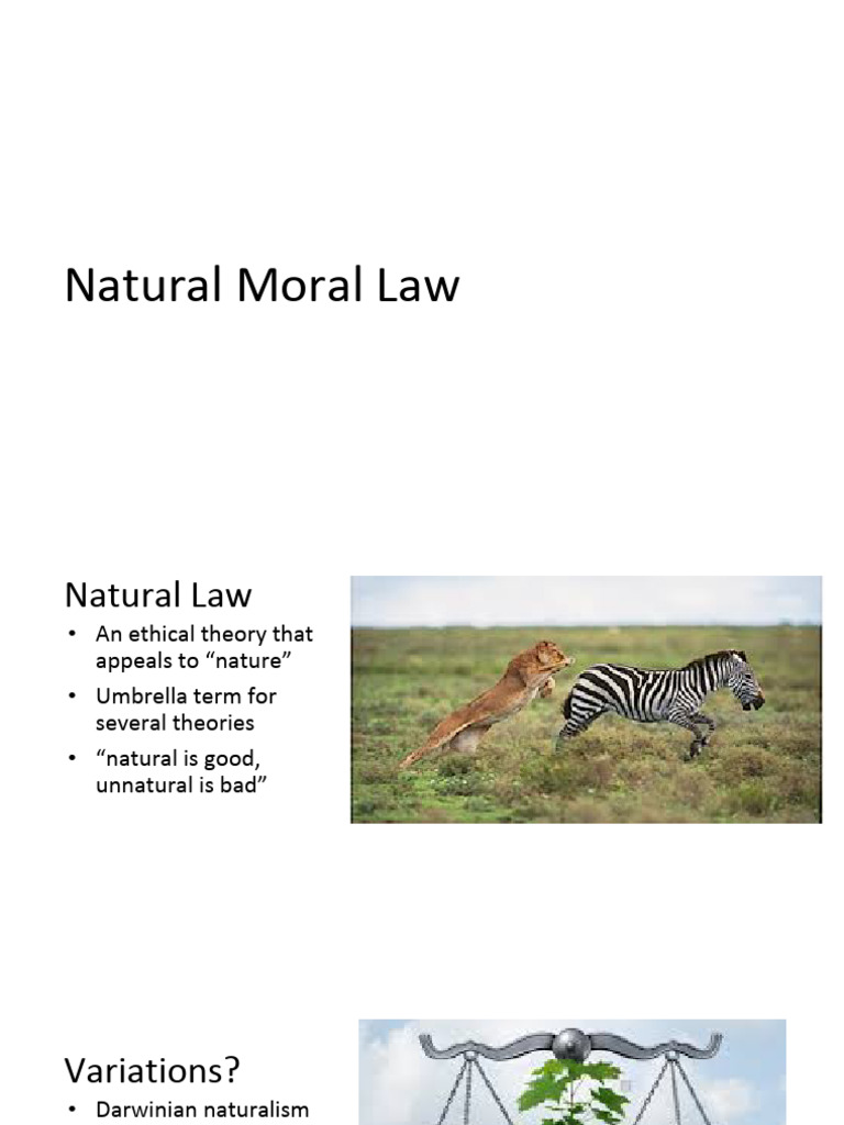 Understanding Natural Moral Law | PDF | Thomas Aquinas | Natural Law