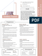 Resume Andina Tantri (All) - 1