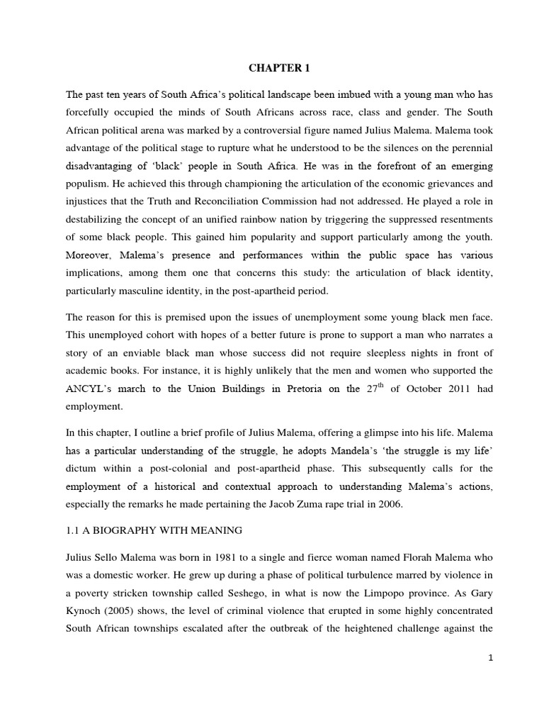 Julius Malema: A Controversial Legacy | PDF | Masculinity | African ...