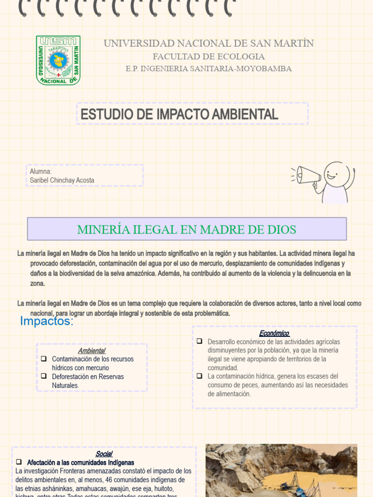 Impacto de la Minería Ilegal en Perú | PDF | Contaminación | Entorno ...