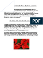 History &amp; Facts of Poinsettia Plants, Euphorbia Pulcherrima