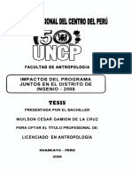 Universidad Nacional Del Centro Del Perú: Tesis