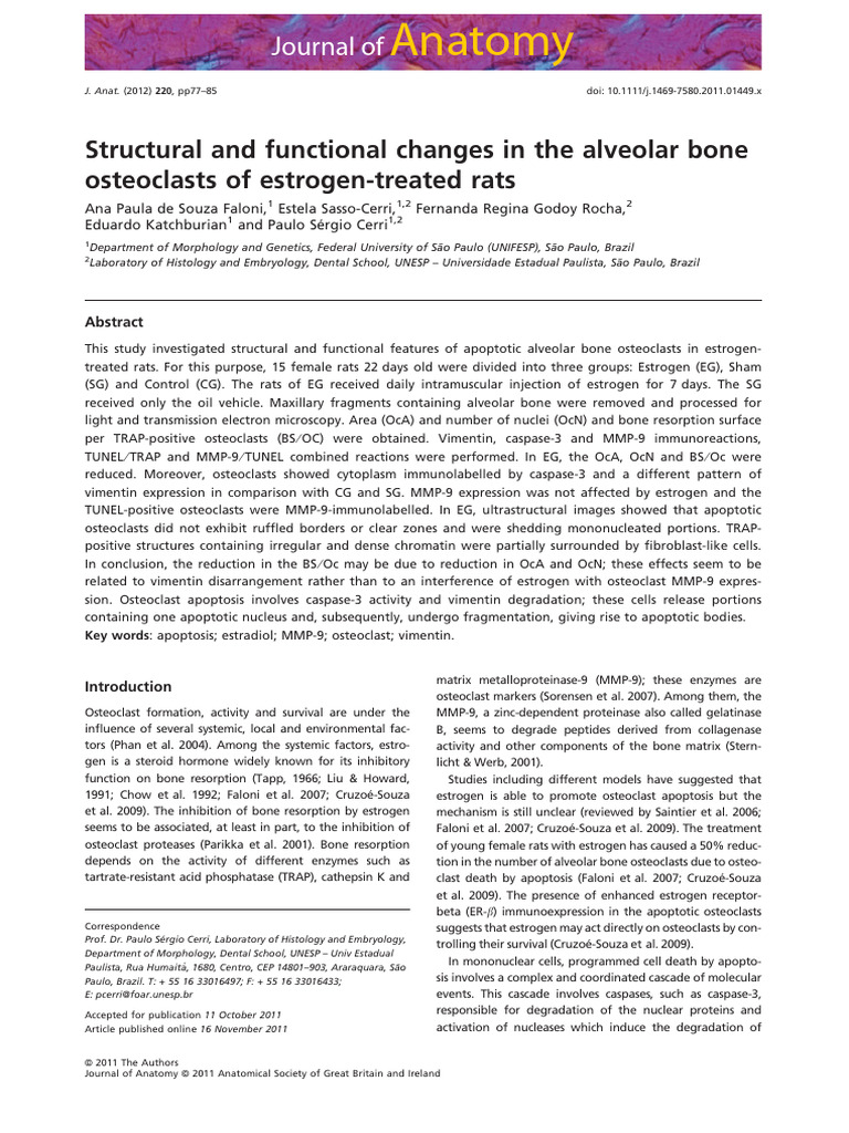 Structural and Functional Changes | PDF | Apoptosis | Bone