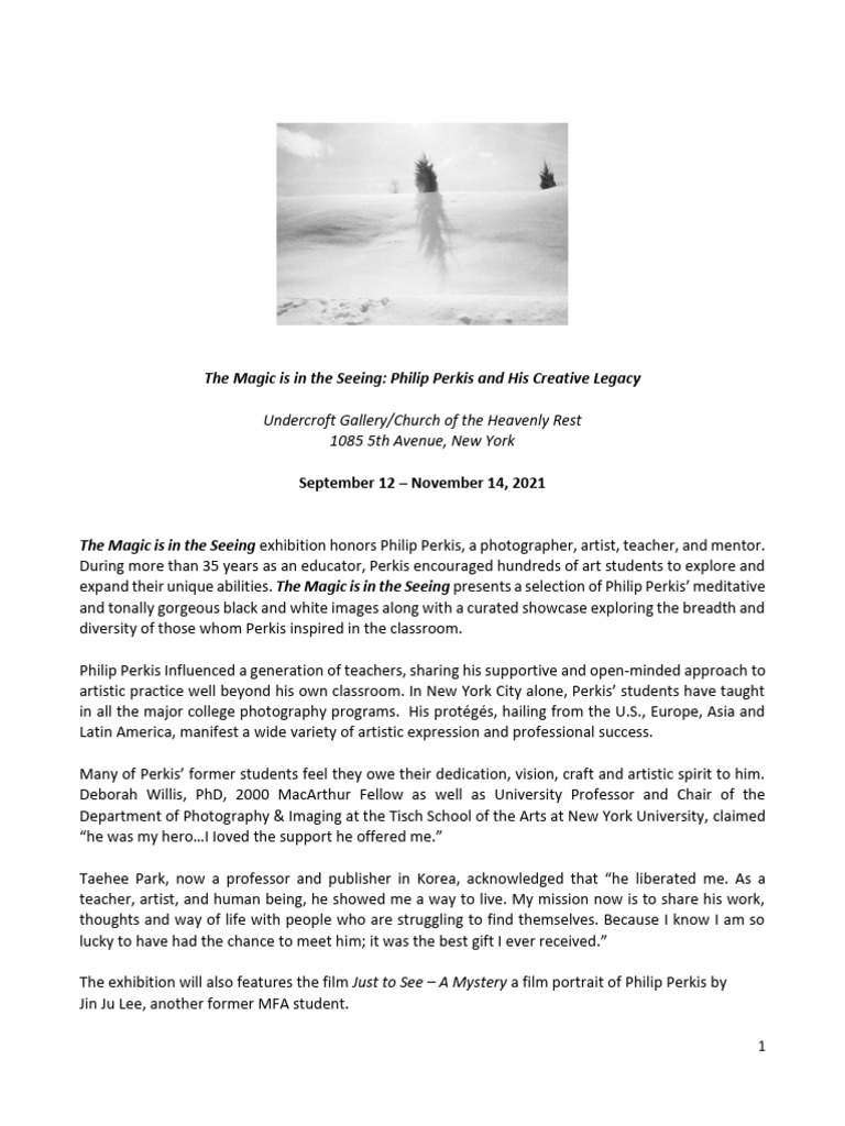 Magic+Show+Artist+Statements Final | PDF | Photograph