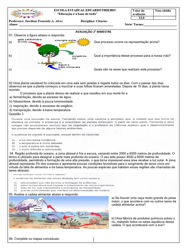Cadeia Alimentar e Fotossíntese 4º Ano | PDF | Ecossistema | Food Web